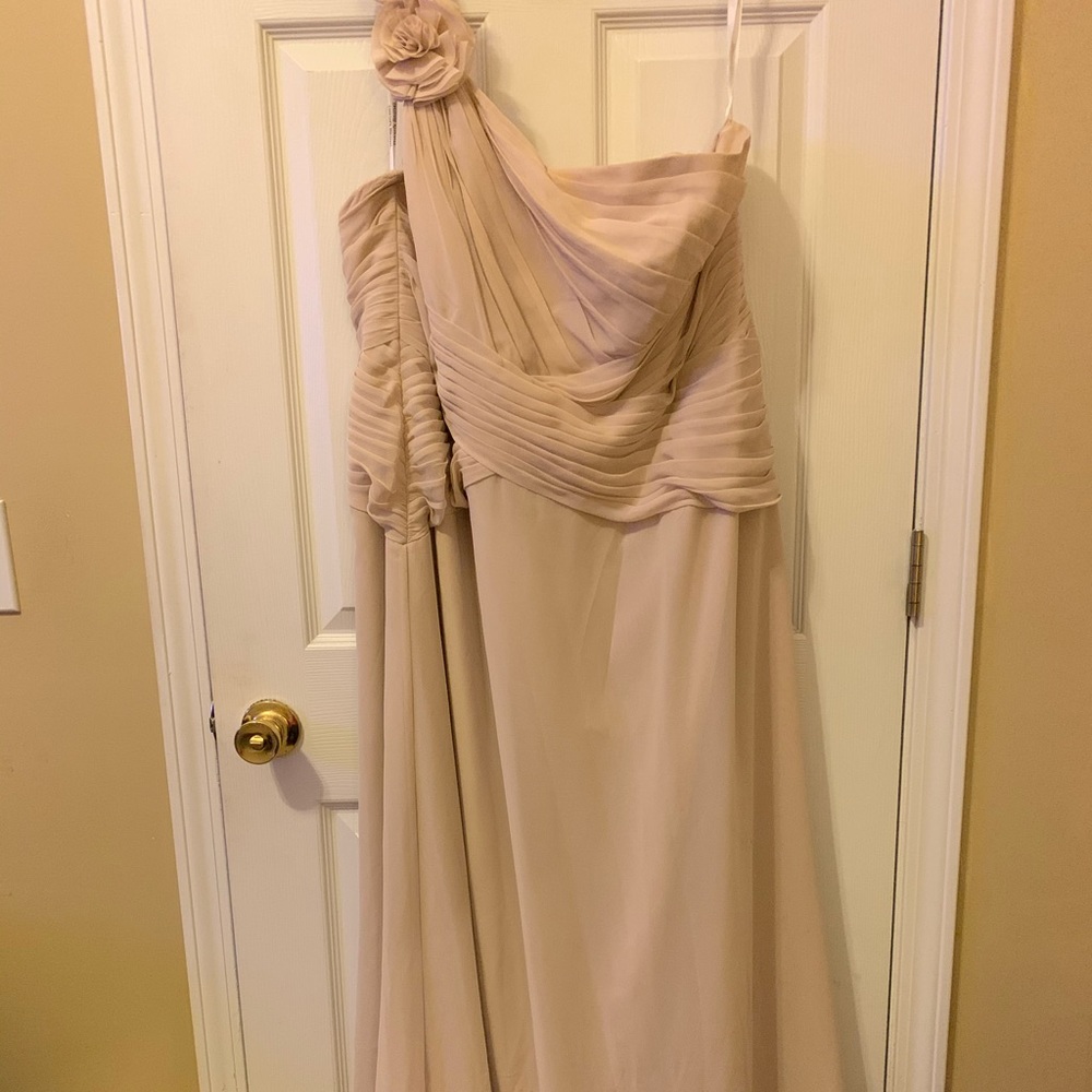 Plus size David’s bridal dress